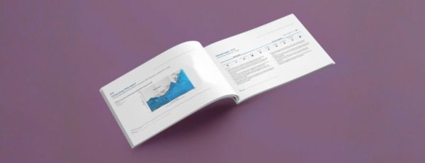 contractor of record and contingent eor peak matrix report for workwell